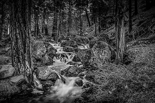 Bruce Bottomley - Lost World Bruce Bottomley - Lost World