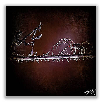 Ingrid Smith-Johnsen - Mantis 23 Ingrid Smith-Johnsen - Mantis 23