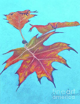 Phyllis Howard - Drifting into Fall Phyllis Howard - Drifting into Fall