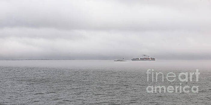 Dale Powell - Maritime Fog Dale Powell - Maritime Fog