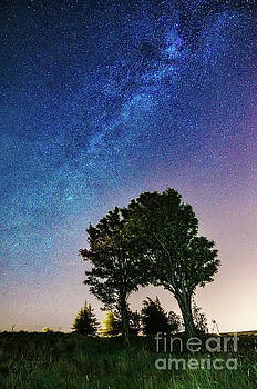 Mariusz Talarek - Milky Way Mariusz Talarek - Milky Way