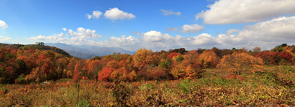Jill Lang - Mountain Panorama Jill Lang - Mountain Panorama