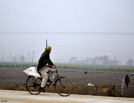 Bliss Of Art - Observing the Fields Bliss Of Art - Observing the Fields