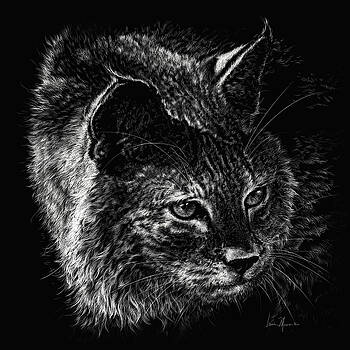 Laurie Musser - On The Prowl- Bobcat Laurie Musser - On The Prowl- Bobcat