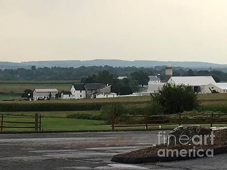 Christine Clark - Peaceful Amish Vista Christine Clark - Peaceful Amish Vista