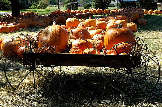 Teresa Blanton - Pumpkin Wagon Teresa Blanton - Pumpkin Wagon