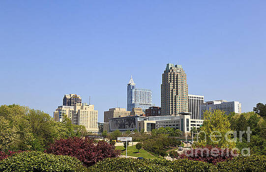 Jill Lang - Raleigh North Carolina Jill Lang - Raleigh North Carolina