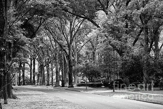 Jill Lang - Road in Black and White Jill Lang - Road in Black and White