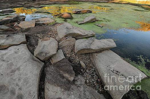 Billy Moore - Rocks, Algae and Reflections Billy Moore - Rocks, Algae and Reflections