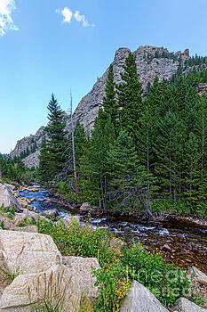 James BO Insogna - Rocky Mountain Chipmunk Paradise James BO Insogna - Rocky Mountain Chipmunk Paradise