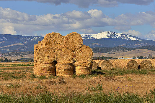 Kae Cheatham - Round Hay Bales and Mountain Kae Cheatham - Round Hay Bales and Mountain