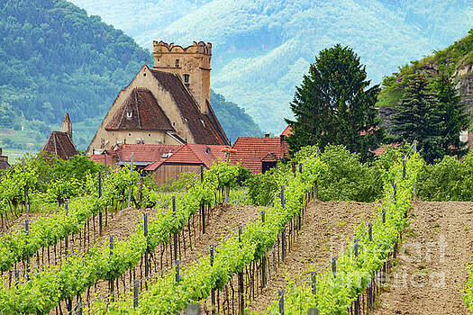 Bob Phillips - Saint Michael Church and Austrian Vineyard Bob Phillips - Saint Michael Church and Austrian Vineyard