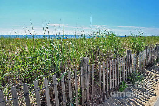 Jost Houk - Sands of the dune Jost Houk - Sands of the dune