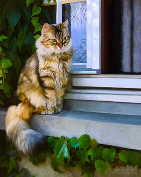 Bob Nolin - Sitting Pretty Bob Nolin - Sitting Pretty