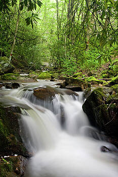 Jill Lang - Small Waterfall Jill Lang - Small Waterfall