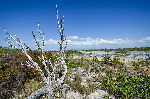 Jeremy Lavender Photography - South Beach in The Bahamas Jeremy Lavender Photography - South Beach in The Bahamas
