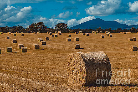 Marc Daly - Straw bale in a field Marc Daly - Straw bale in a field