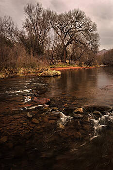 Rick Strobaugh - Stream and Tree Rick Strobaugh - Stream and Tree