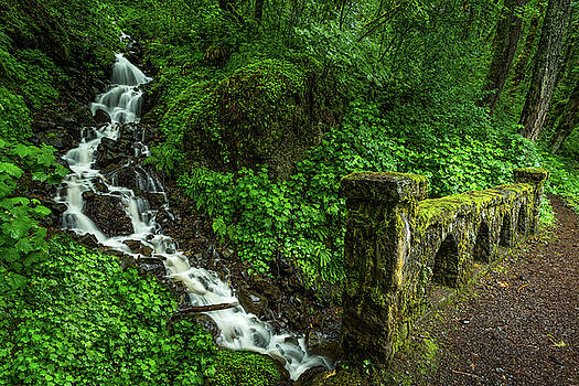 Rick Strobaugh - Stream down the Hillside Rick Strobaugh - Stream down the Hillside