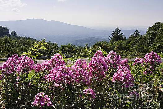 Jill Lang - Summer in the Mountains Jill Lang - Summer in the Mountains
