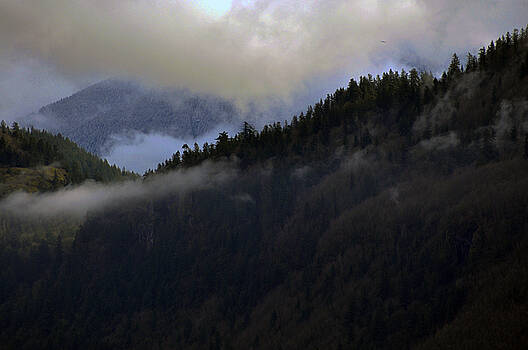 Clayton Bruster - The Fog Descends on Sumas Clayton Bruster - The Fog Descends on Sumas