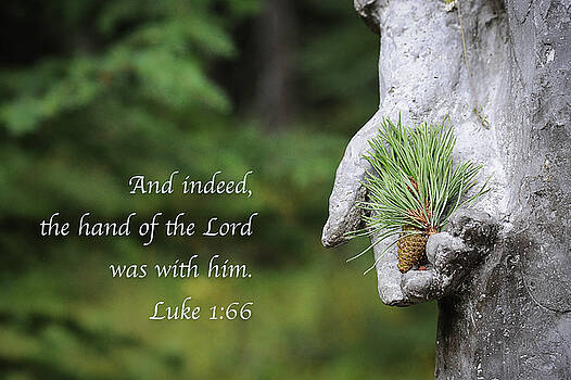 Mary Lee Dereske - The Hand of the Lord Mary Lee Dereske - The Hand of the Lord