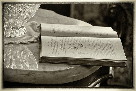 James Woody - The Reading Table James Woody - The Reading Table