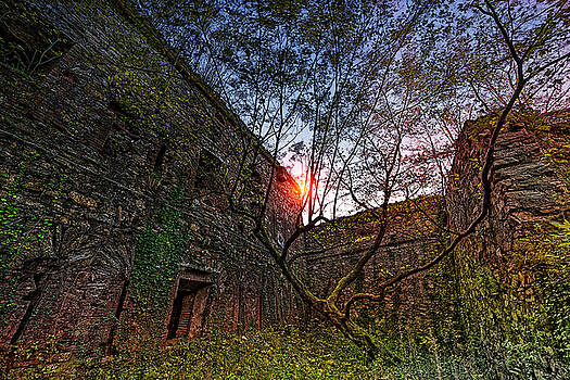 Enrico Pelos - THE TREE IN THE FORT - L Enrico Pelos - THE TREE IN THE FORT - L
