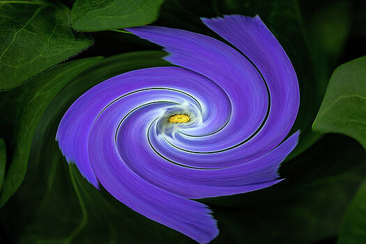 Rick Strobaugh - Twirling Flower Pedals Rick Strobaugh - Twirling Flower Pedals