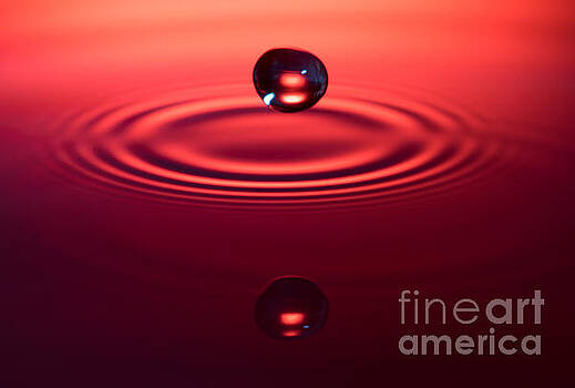 Marc Daly - Two Drops and a Ripple Marc Daly - Two Drops and a Ripple