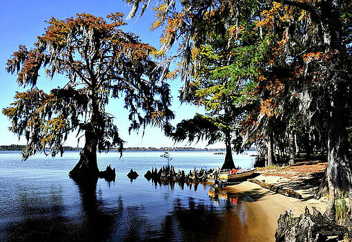 Larry M Boyd Artwork for Sale Washington NC United Larry M Boyd Artwork for Sale Washington NC United