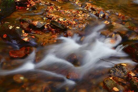 Jill Lang - Water Flowing Jill Lang - Water Flowing