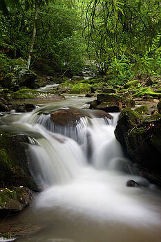 Jill Lang - Waterfall in a Creek Jill Lang - Waterfall in a Creek