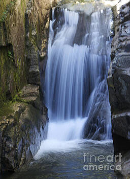 Michael Mooney - Waterfall in the woods Michael Mooney - Waterfall in the woods
