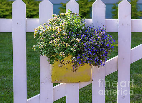 Dale Powell - White Picket Fence Flower Basket Dale Powell - White Picket Fence Flower Basket