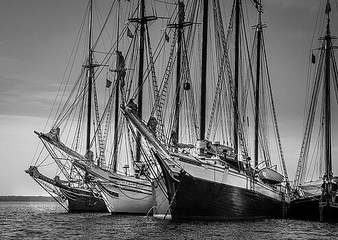 Fred LeBlanc - Windjammer Fleet Fred LeBlanc - Windjammer Fleet