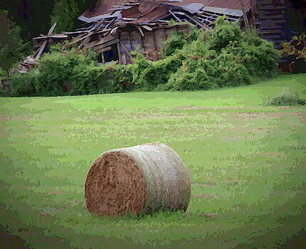 Cathy Lindsey - Abandoned Barn and Hay Roll 2018b Cathy Lindsey - Abandoned Barn and Hay Roll 2018b