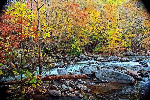 Allen Nice-Webb - Autumn River Memories Allen Nice-Webb - Autumn River Memories