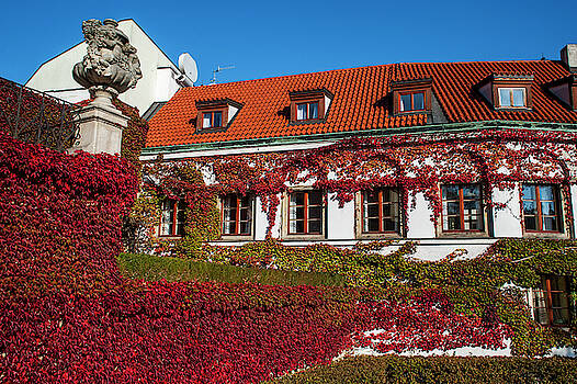 Jenny Rainbow - Autumnal Beauty of Vrtba Garden Jenny Rainbow - Autumnal Beauty of Vrtba Garden