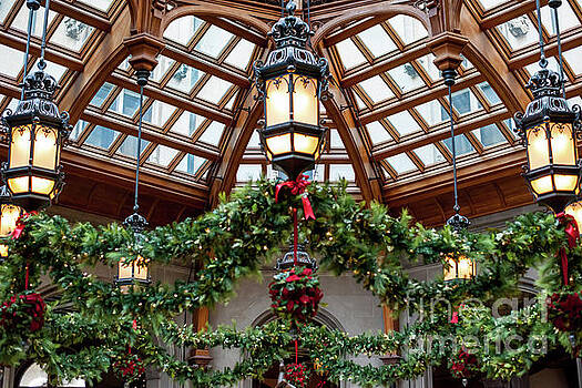 Dale Powell - Biltmore Christmas - Winter Garden Dale Powell - Biltmore Christmas - Winter Garden