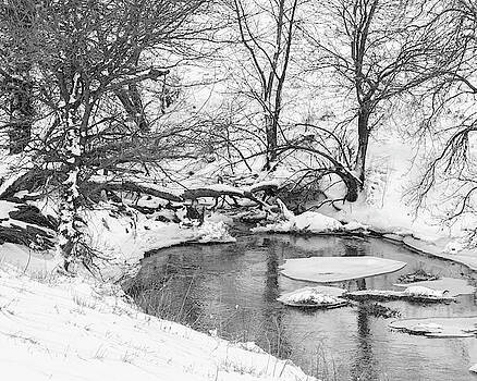 Rob Graham - Black and White Winter 01 Rob Graham - Black and White Winter 01