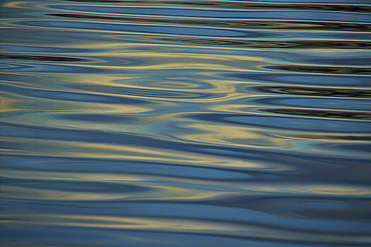 Dale Kauzlaric - Blue Gray Water Abstract Dale Kauzlaric - Blue Gray Water Abstract