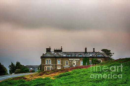 Mariusz Talarek - Cow and Calf Hotel Mariusz Talarek - Cow and Calf Hotel
