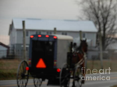 Christine Clark - December Amish Buggy View Christine Clark - December Amish Buggy View