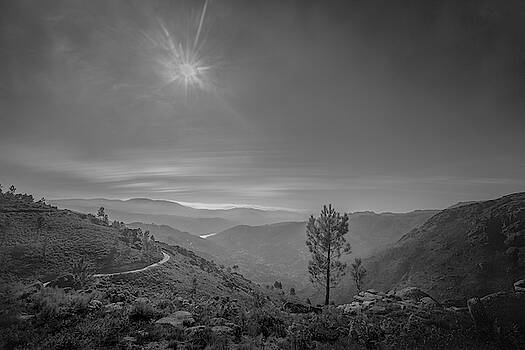 Bruno Rosa - Geres - One Tree Bruno Rosa - Geres - One Tree
