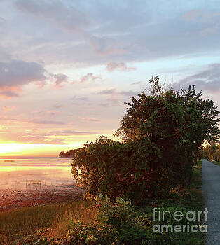 Felipe Adan Lerma - Island Line Trail Sunset via Colchester Vertical Felipe Adan Lerma - Island Line Trail Sunset via Colchester Vertical