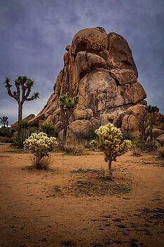 Rick Strobaugh - Joshua Tree Boulders Rick Strobaugh - Joshua Tree Boulders