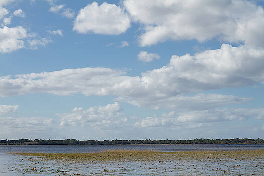 Paul Rebmann - Lake Lizzie Paul Rebmann - Lake Lizzie