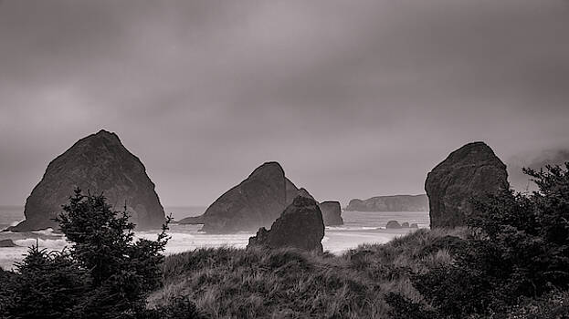 Mike Penney - Oregon Coast Fog 19 Mike Penney - Oregon Coast Fog 19
