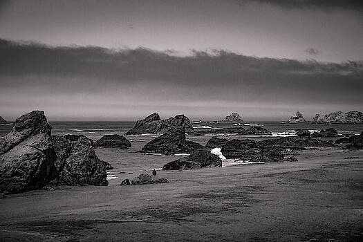 Mike Penney - Oregon Coastal Fog 13 Mike Penney - Oregon Coastal Fog 13